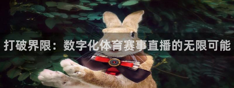 nba火凤体育免费直播：打破界限：数字化体育赛事直播的无限可能
