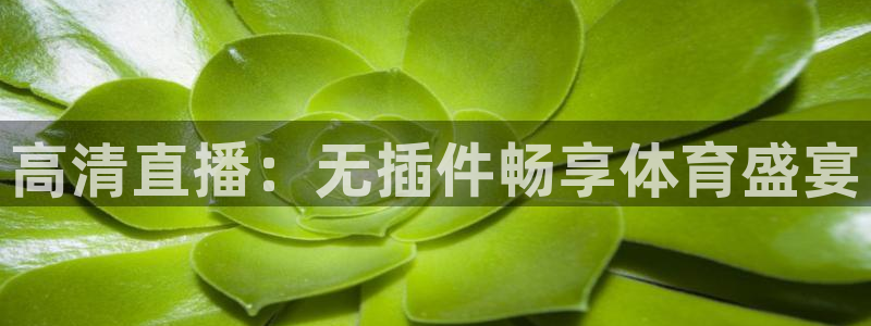 火凤足球直播在线观看：高清直播：无插件畅享体育盛宴