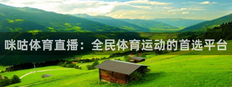 火凤直播体育直播最新赛程