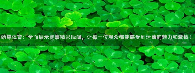 火凤体育直播